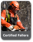 Certified Fallers